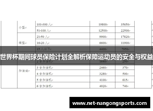 世界杯期间球员保险计划全解析保障运动员的安全与权益