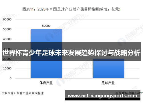 世界杯青少年足球未来发展趋势探讨与战略分析