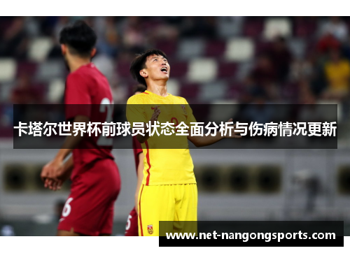 卡塔尔世界杯前球员状态全面分析与伤病情况更新