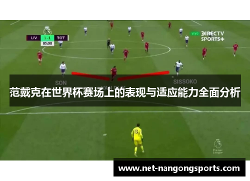 范戴克在世界杯赛场上的表现与适应能力全面分析