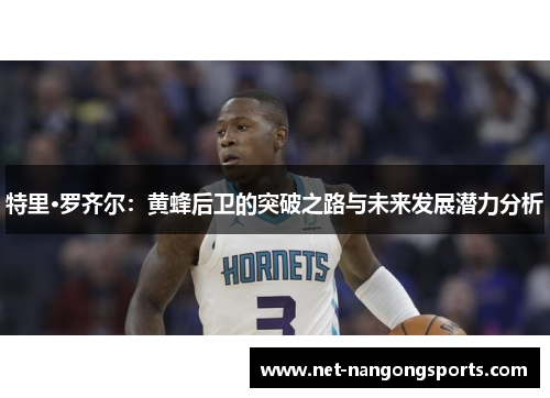 特里·罗齐尔：黄蜂后卫的突破之路与未来发展潜力分析