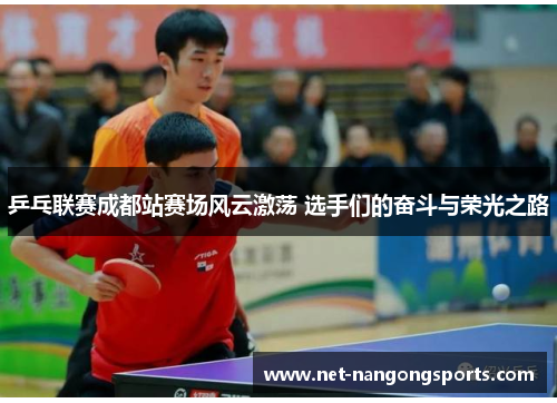 乒乓联赛成都站赛场风云激荡 选手们的奋斗与荣光之路
